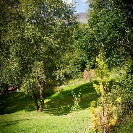 Bramble Hill *