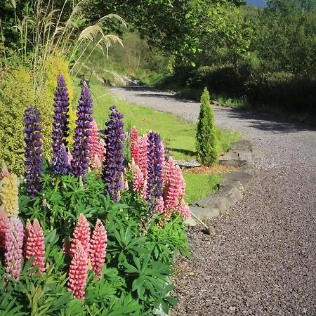 Bramble Hill Guest house *