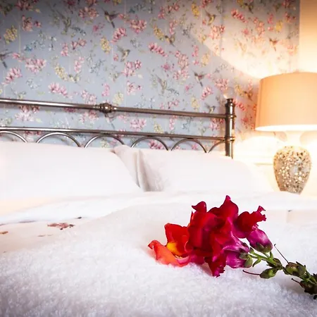 Bramble Hill Guest house *